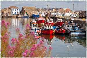 Sprachkurs in Waterford
