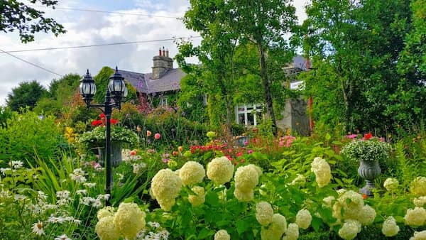 Grünes Irland - 'Emerald Isle'